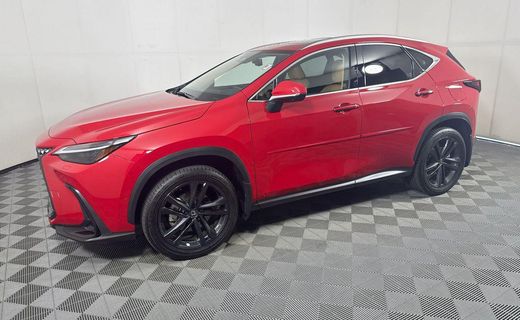 2024 Lexus NX Luxury