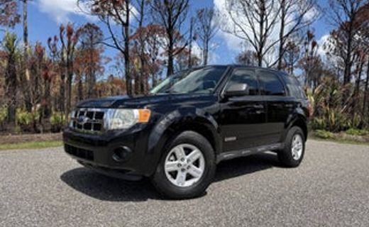 2010 Ford Escape XLT