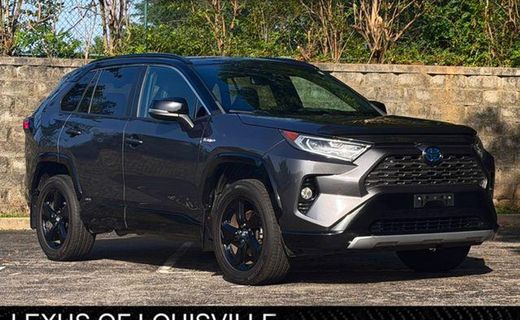 2019 Toyota RAV4 SE