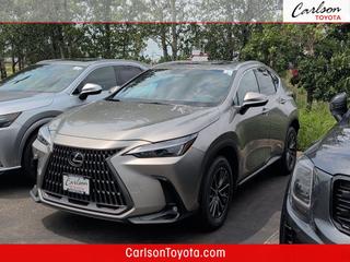 2024 Lexus NX 350 Base