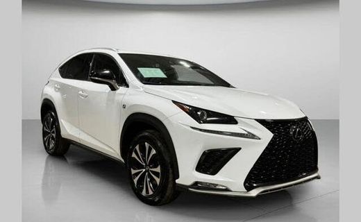 2018 Lexus NX 300 Luxury