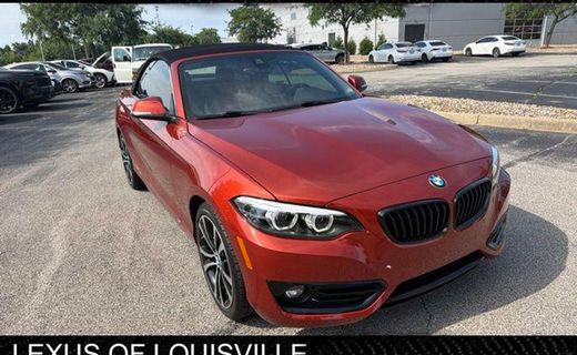2020 BMW 230I