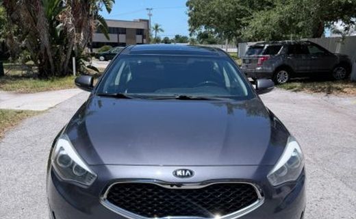2014 Kia Cadenza EX