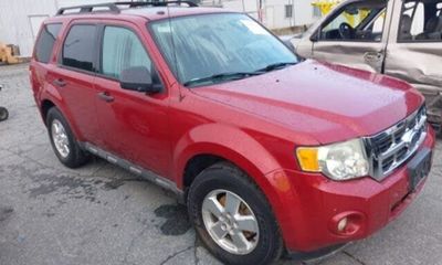 2011 Ford Escape XLT