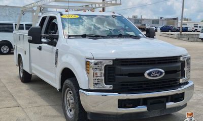 2019 Ford F-250 250 FOR Sale