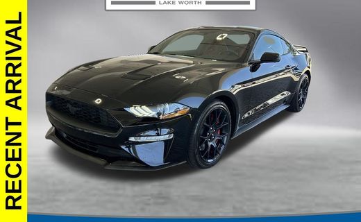 2019 Ford Mustang