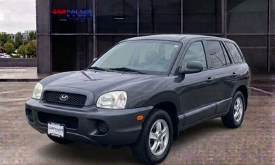 2006 Hyundai Santa FE SM