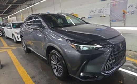 2023 Lexus NX 350 Premium