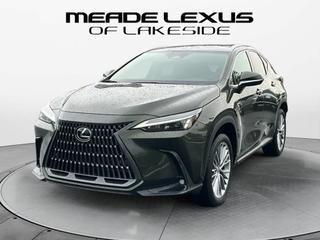 2025 Lexus NX 350H Premium