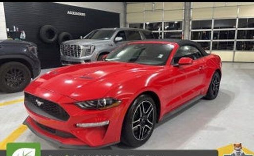 2022 Ford Mustang
