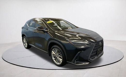 2023 Lexus NX 350 Luxury