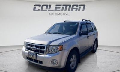 2010 Ford Escape XLT
