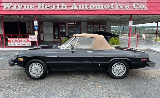 1981 Alfa Romeo Spider Veloce