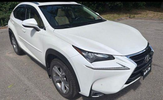 2017 Lexus NX 200T Luxury