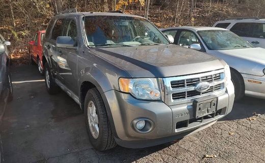 2010 Ford Escape XLT