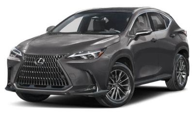 2024 Lexus NX 350H Luxury