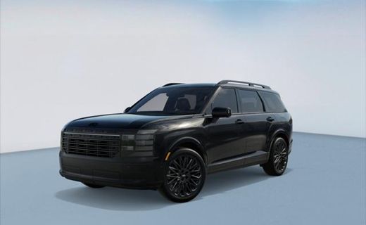 2027 Hyundai Palisade Calligraphy Black INK