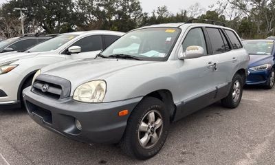 2006 Hyundai Santa FE SM