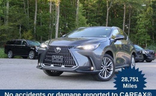 2025 Lexus NX 350 Luxury