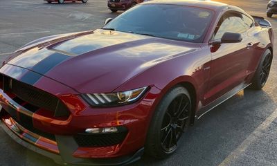 2019 Ford Mustang Shelby Coupe