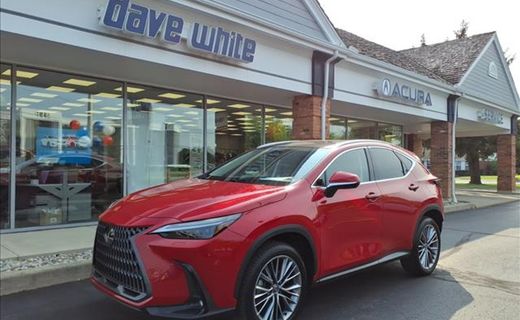 2024 Lexus NX 350H Luxury