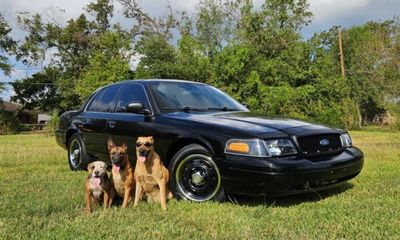 2011 Ford Crown Victoria Police Interceptor