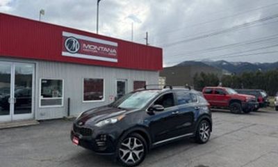 2017 Toyota RAV4 LTD SE Platinum