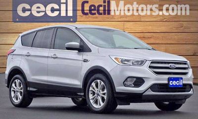 2019 Ford Escape SE