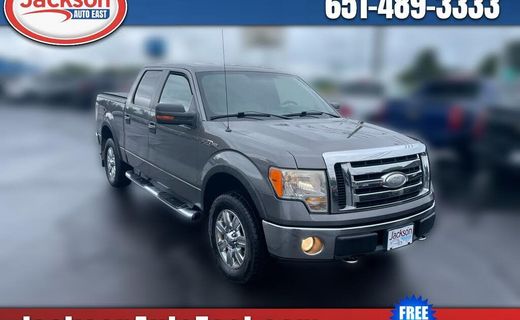2009 Ford F-150