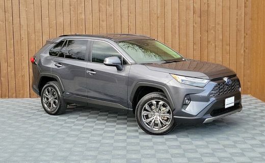 2022 Toyota RAV4 Limited