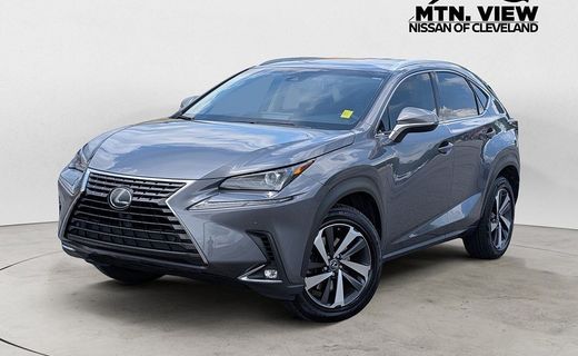 2019 Lexus NX 300 Luxury