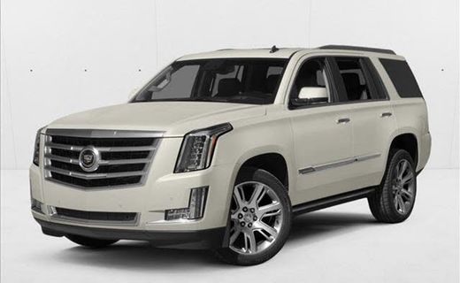 2015 Cadillac Escalade Platinum Edition