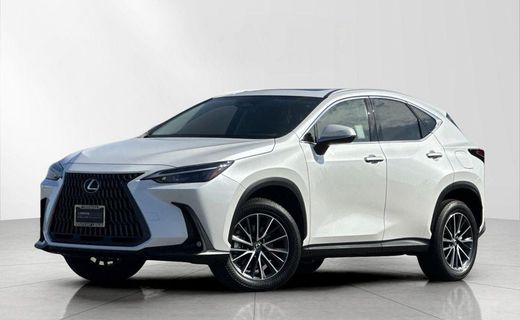 2025 Lexus NX