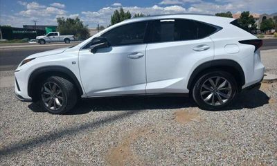 2019 Lexus NX 300 Luxury