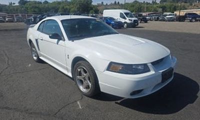 2001 Ford Mustang Cobra