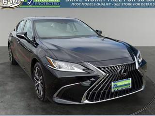 2023 Lexus ES 250 Premium