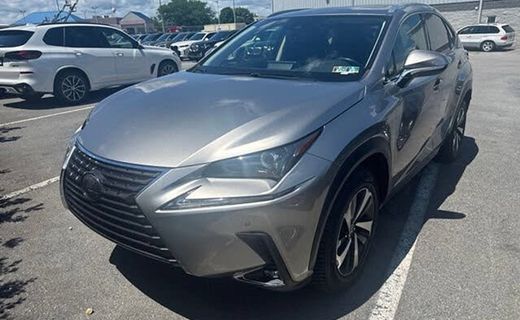 2020 Lexus NX 300 Premium