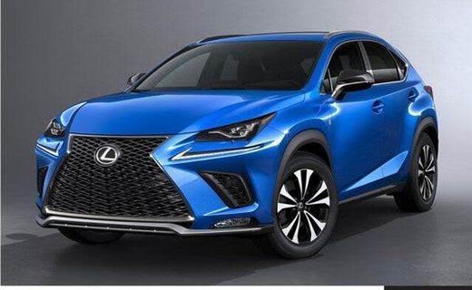 2021 Lexus NX 300 Comfort