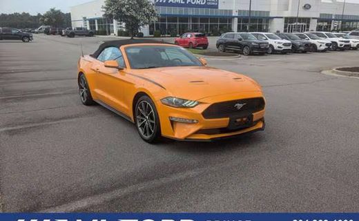 2019 Ford Mustang