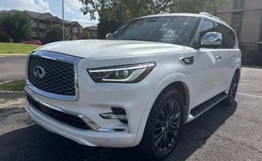 2024 Infiniti QX80 Premium