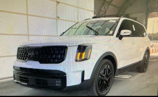 2025 Kia Telluride