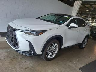 2024 Lexus NX 350 Luxury