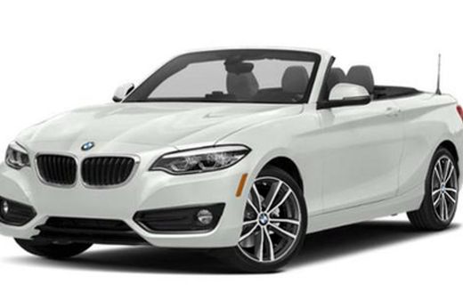 2019 BMW 230I