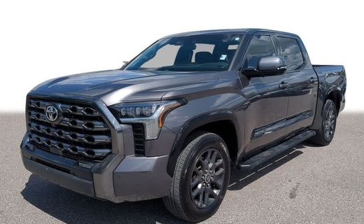 2022 Toyota Tundra Platinum
