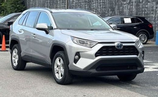 2019 Toyota RAV4 LTD
