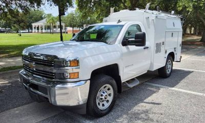 2017 Chevrolet Silverado Work Truck LS