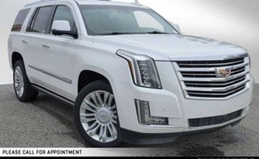 2020 Cadillac Escalade ESV Platinum
