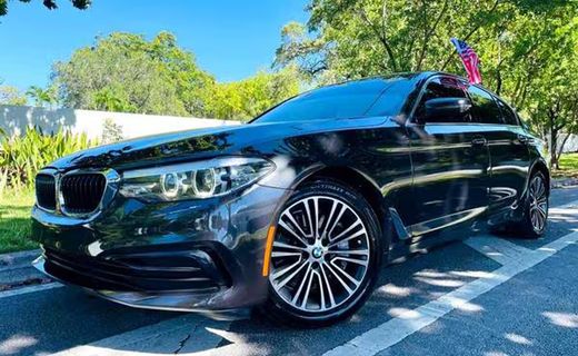 2019 BMW 530I