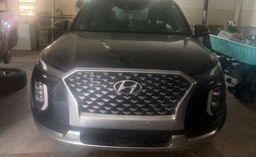 2021 Hyundai Palisade Calligraphy