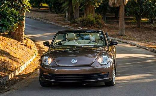 2013 Volkswagen Beetle